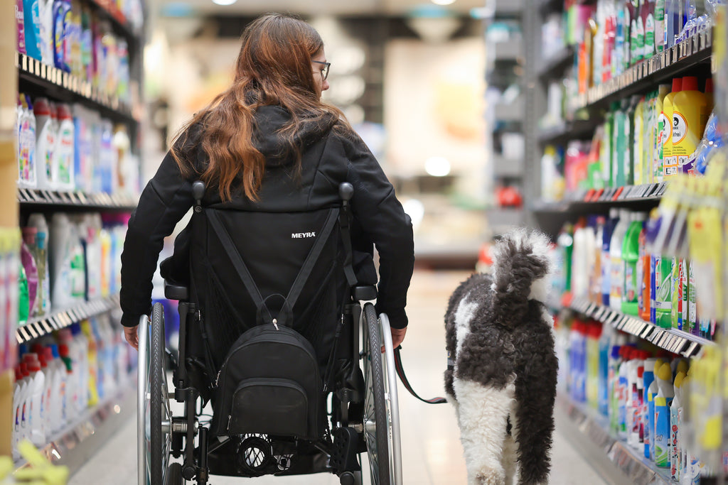 Mobilitätsassistenzhundetrainer Plus