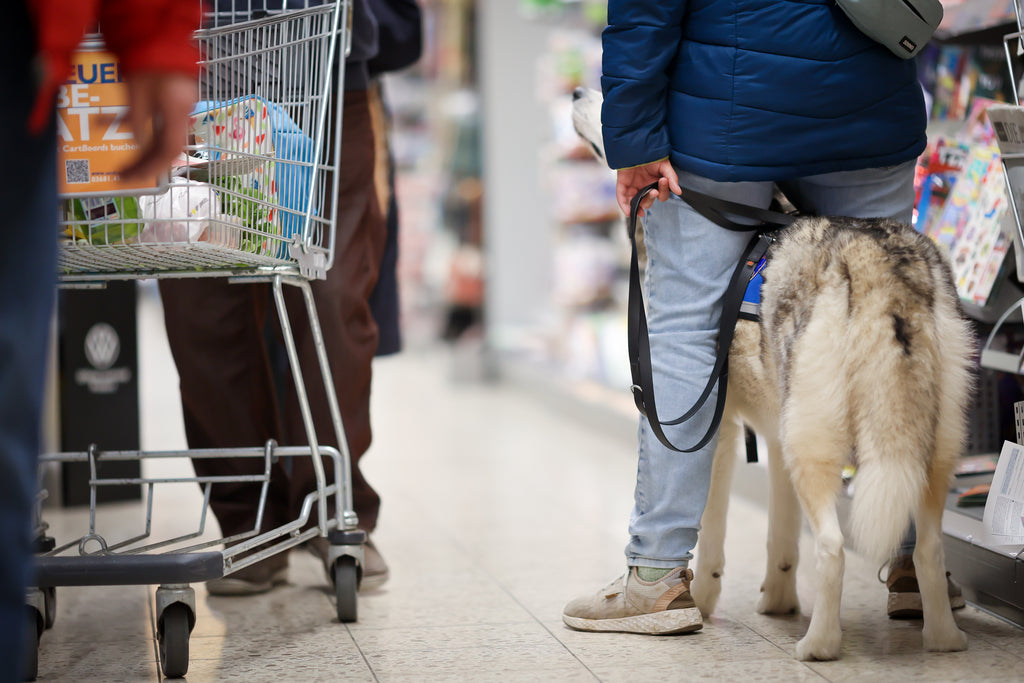 PSB-Assistenzhundetrainer Basic (6 Raten)