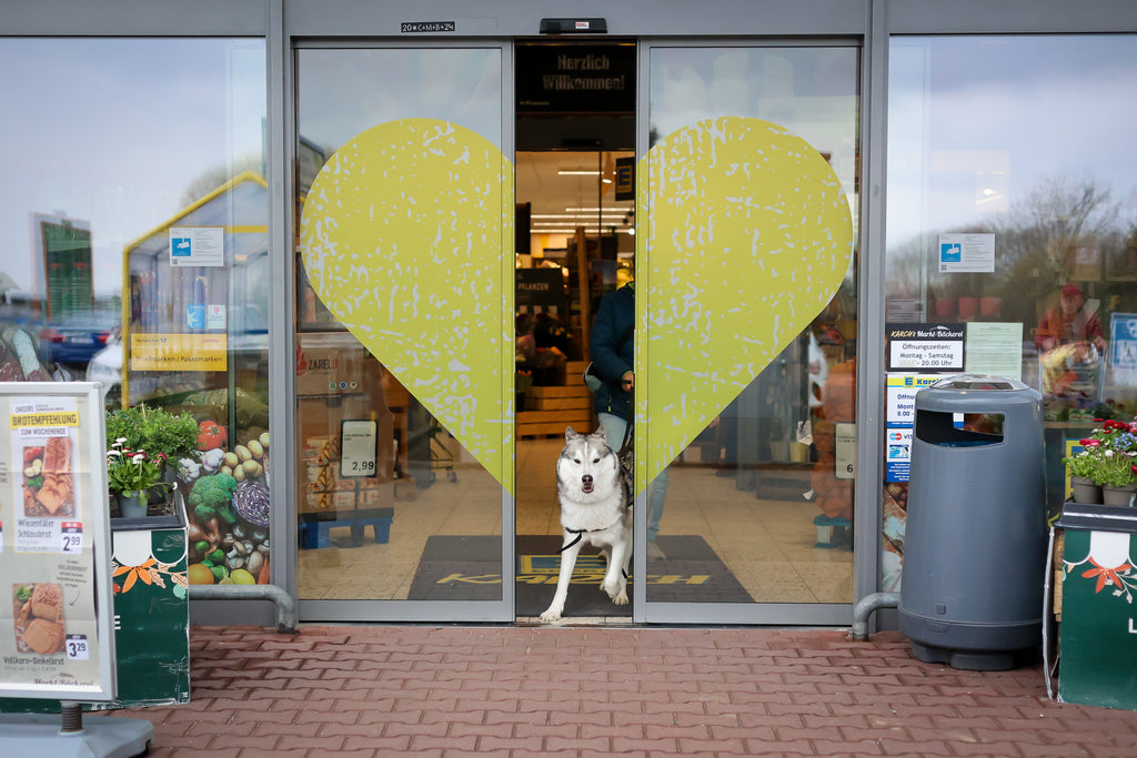 PSB-Assistenzhundetrainer Plus